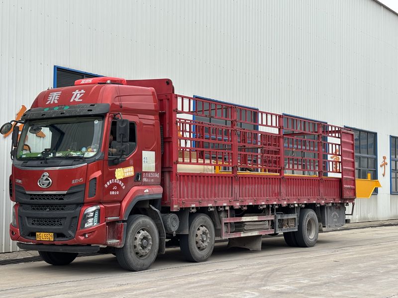 欧式葫芦双 LHO12.5t-10m 制作完成 装车发出